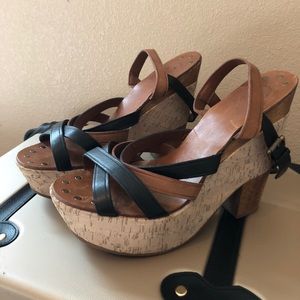Anthropology wedges